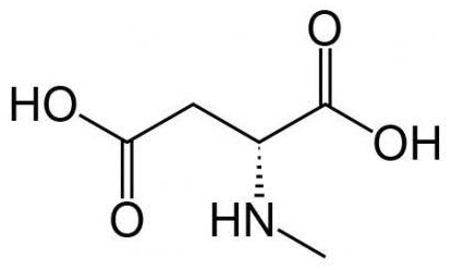 N-Methyl-D-aspartic acid